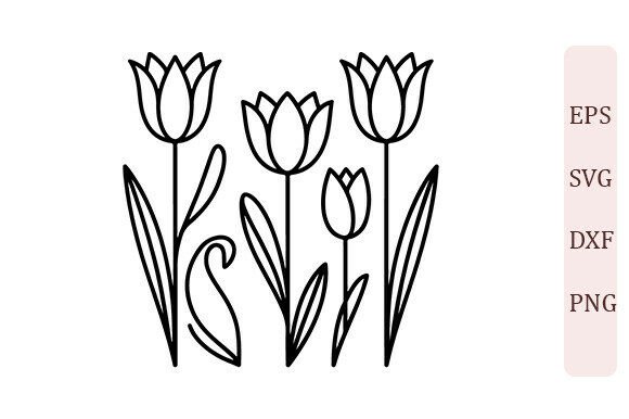 Elegant Floral Line Art Bundle Review