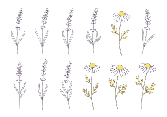 Lavender and Daisy Floral Line Art: A Designer's Real-World Review